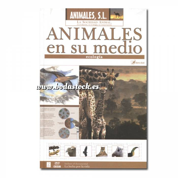 Imagen Animales S.L. DVD Animales S.L. - Animales en su medio (Últimas Unidades) 