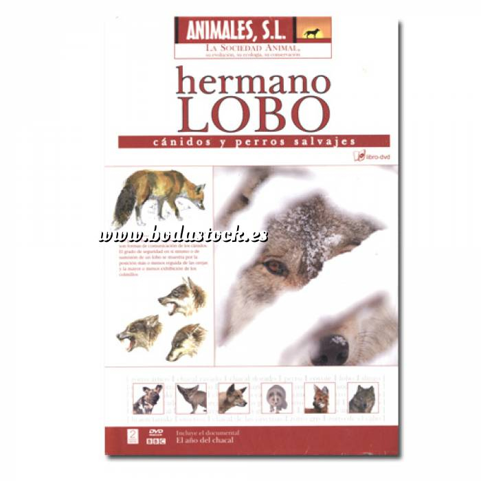 Imagen Animales S.L. DVD Animales S.L. - Hermano Lobo (Últimas Unidades) 